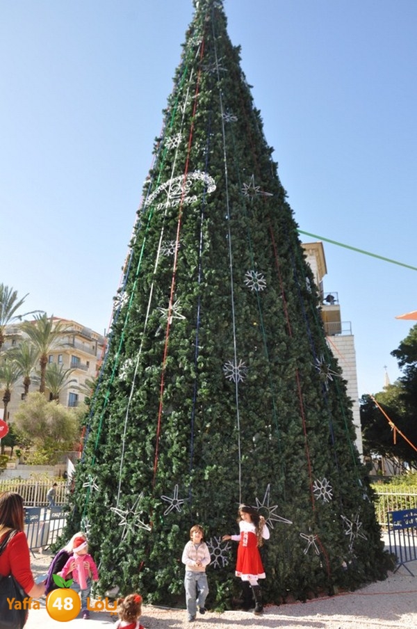 baba nweel 1221 (46).JPG